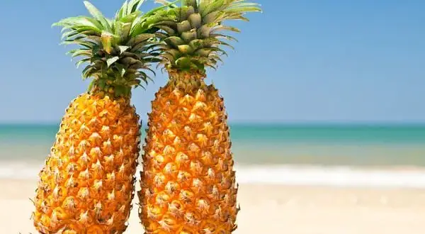 Ile kcal ma ananas? Poznaj wartość kaloryczną tego owocu