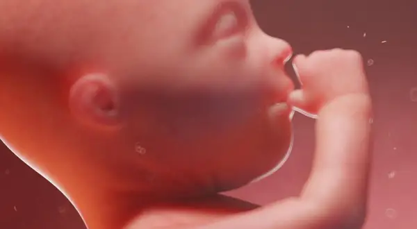 Jak wygląda dziecko w 20 tygodniu ciąży - co powinieneś wiedzieć?
