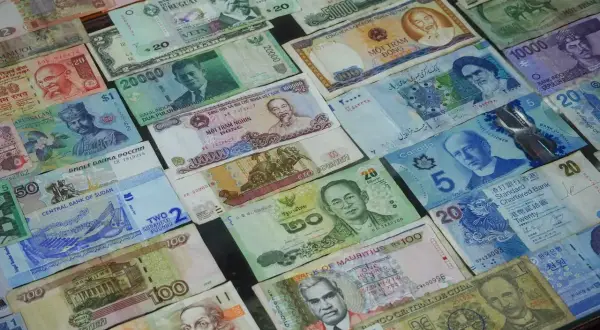 Kolekcja banknotów z różnych krajów, w tym z Urugwaju, Indonezji, Wietnamu, Kanady, Sudanu, Rosji, Mauritiusu, Kuby i innych. Każdy banknot ma swoją dewizę, co to za waluta, widoczne na jego powierzchni.