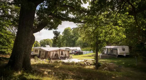 En lugn campingplats i Skönstavik med husvagnar och förtält under stora träd.