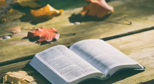 Nieznane cytaty z Biblii: 10 wersetów, które Cię zaskoczą