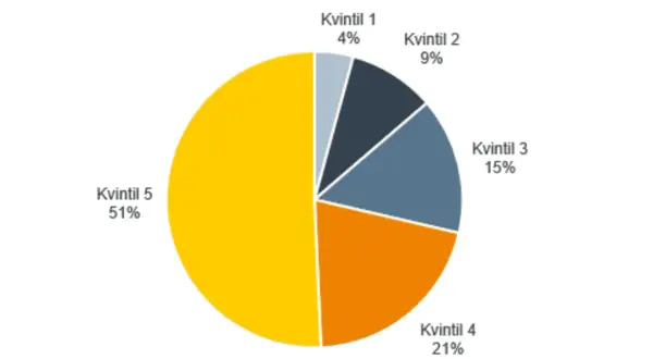 Cirkeldiagram som visar skattefördelning per kvintil. Kvintil 5 betalar 51%, Kvintil 4 21%, Kvintil 3 15%, Kvintil 2 9% och Kvintil 1 4%. Detta kan ge en indikation på vilket land betalar mest skatt.
