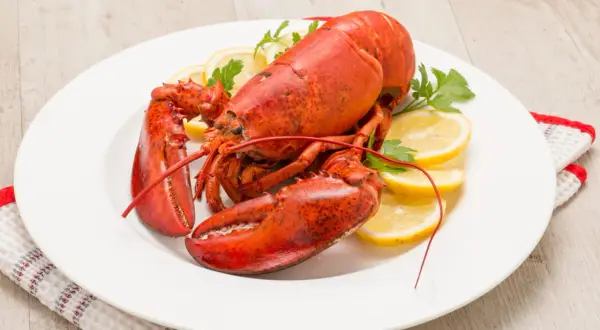 Homard rouge vif, prêt pour la cuisson, servi sur une assiette blanche avec des quartiers de citron et du persil.