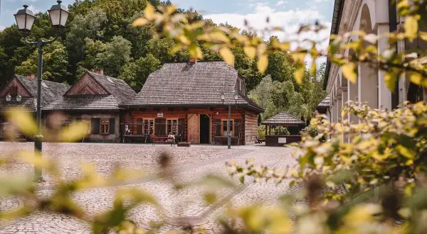 Najlepsze atrakcje w Ryki, które musisz zobaczyć podczas wizyty
