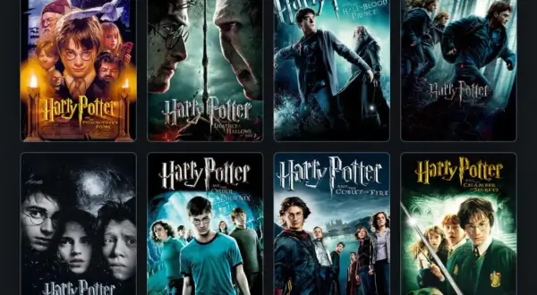 Osiem filmów z serii Harry Potter: Kamień Filozoficzny, Komnata Tajemnic, Więzień Azkabanu, Czara Ognia, Zakon Feniksa, Książę Półkrwi, Insygnia Śmierci cz. 1 i 2.
