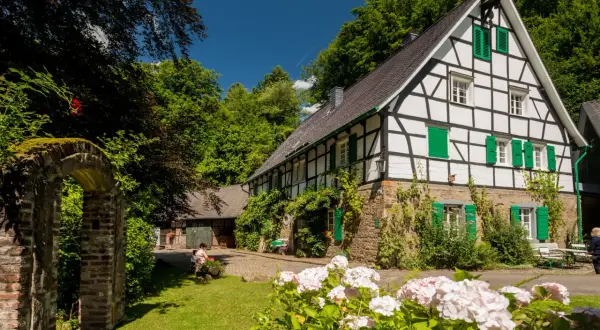 Fachwerkhaus mit grünen Fensterläden, umgeben von üppiger Natur. Ein idyllischer Ort für genuss wandern und Entspannung.