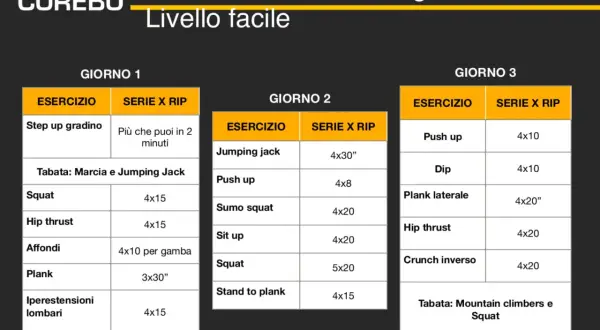 Schema per come iniziare ad allenarsi a casa: esercizi per 3 giorni, con squat, plank e push up.