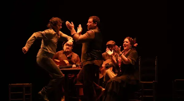 Artistas de flamenco, con guitarras y palmas, dan vida a la escena. El significado de "jalear" se siente en la energía.