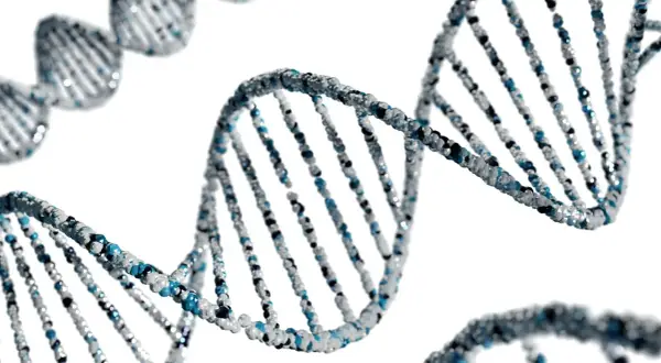 Struktura DNA, symbolizująca dziedziczność i potencjał, pokazuje, od czego zależy inteligencja.
