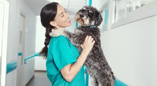 Veterinaria sonríe mientras abraza a un perro, ajenos a los ladridos de perros que se oyen en el pasillo.