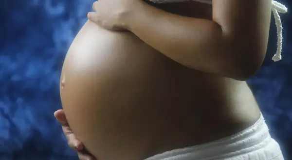 Gravid mage med händer som varsamt vilar på den. Kanske är det latensfas flera dygn, en väntan fylld av hopp.