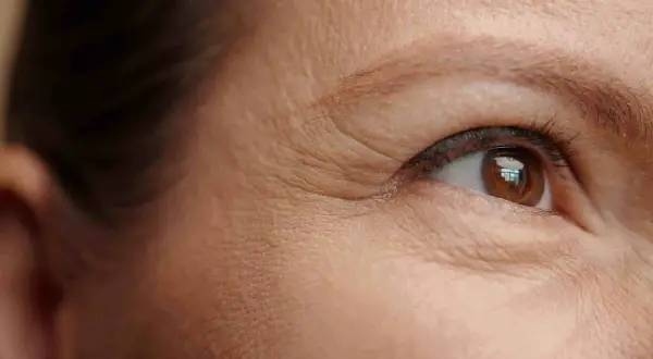 Gros plan sur un œil marron, révélant les rides d'expression, les pattes d'oie, qui témoignent d'une vie bien vécue sur ce visage.