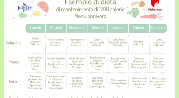 Esempio di dieta di mantenimento da 1700 calorie, menù onnivoro settimanale con colazione, pranzo e cena.