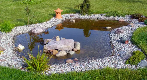Ogród z oczkiem wodnym, kamieniami, roślinnością i ceramiczną latarenką.
