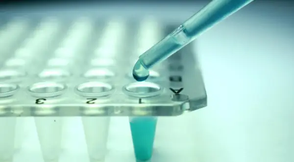 Kropla błękitnego płynu z pipety wpada do probówki. Czy leczenie biologiczne to chemia? Badania laboratoryjne pomagają odpowiedzieć na to pytanie.
