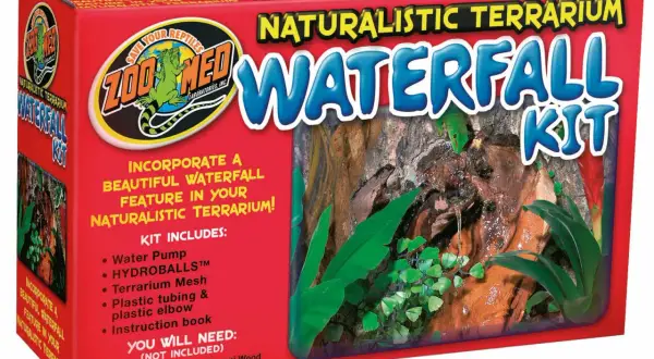Pudełko zestawu do budowy wodospadu w terrarium z zieloną jaszczurką.
