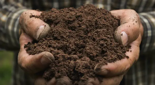 Mani sporche tengono terra fertile, un promemoria delle conseguenze dell'inquinamento del suolo sulla nostra salute e sul futuro.