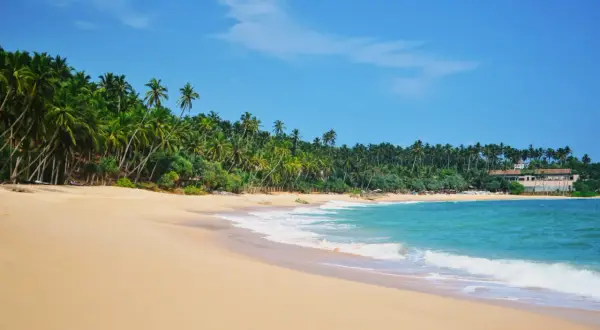 Rajskie Sri Lanka plaże z palmami i turkusową wodą. Idealne miejsce na relaks.