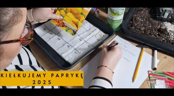Jak głęboko siać paprykę, aby zapewnić udane kiełkowanie?