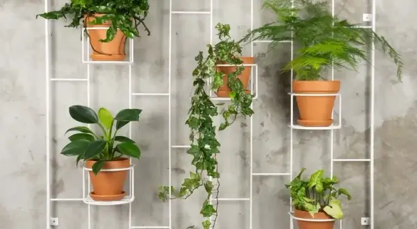 Kwietnik na ścianę DIY – proste sposoby na piękne rośliny w domu