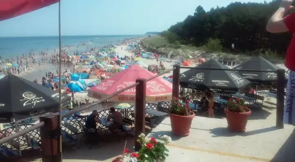 Gdzie zjeść w Karwi? Odkryj najlepsze restauracje i smaki