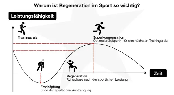 Grafik zeigt den Zyklus von Trainingsreiz, Erschöpfung und Regeneration. Nach der Erschöpfung folgt die Regeneration, die zur Superkompensation führt, dem optimalen Zeitpunkt für den nächsten Trainingsreiz.