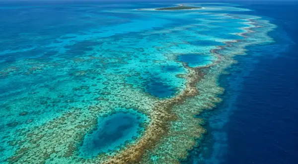 Niesamowite rafy koralowe i turkusowa woda zapraszają na wymarzone belize wakacje. Widok na wyspę i ocean.