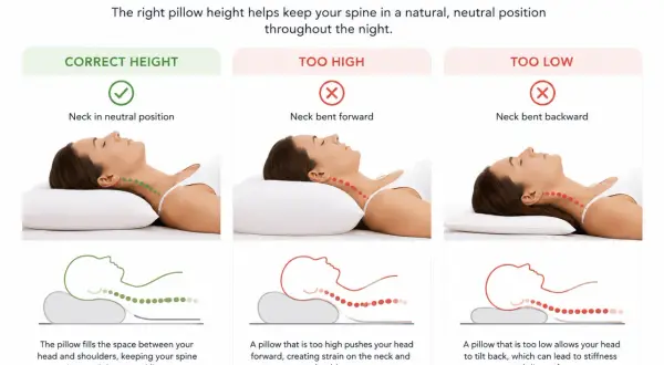 Illustrations show correct, too high, and too low pillow thickness for neutral neck alignment.