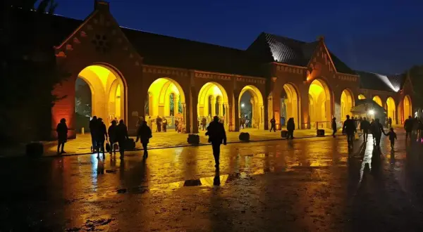 Ile hektarów ma cmentarz w Szczecinie? Zaskakujące fakty o nekropolii