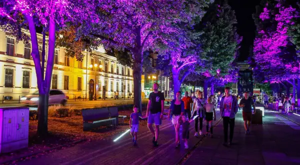 Spacer po Szczecinie nocą, wśród drzew oświetlonych fioletowym blaskiem. Idealne miejsce na wieczorne atrakcje dla dorosłych i rodzin.