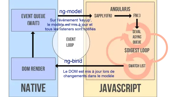 Schéma expliquant le fonctionnement d'AngularJS, avec l'event loop, le DOM render et le digest loop.