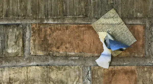 Fragment starej ceglanej ściany z resztkami siatki i papieru. Ciekawi mnie, ile schnie zaprawa murarska w takich warunkach.