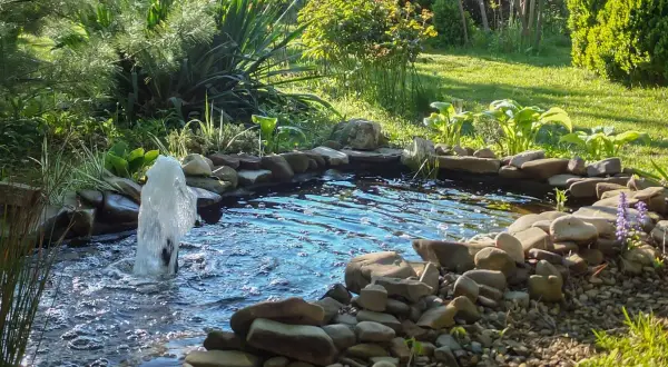 A garden pond with a fountain, surrounded by rocks and lush green plants.