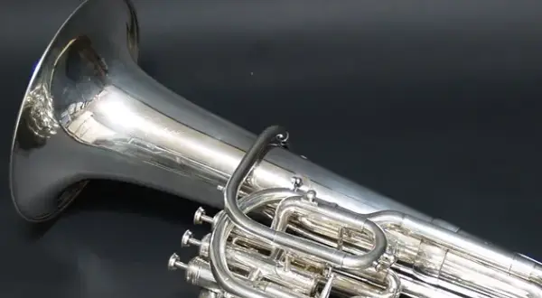 Jakie instrumenty nazywamy dętymi? Poznaj ich rodzaje i cechy