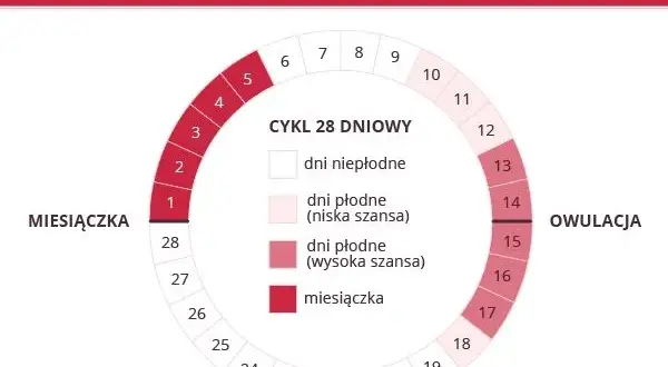 Laktacja a płodność: Owulacja przed okresem? Nie daj się zaskoczyć!