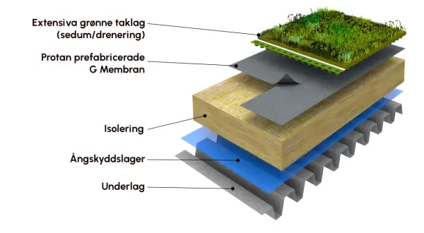 Explosion av en sedumtak konstruktion med lager av vegetation, membran, isolering och underlag.