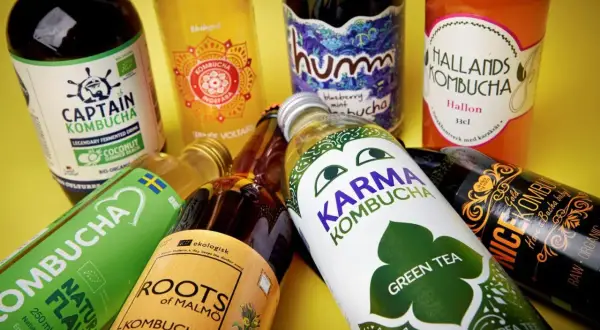 Flera flaskor kombucha, som Captain Kombucha och Karma Kombucha, ligger utspridda. En varning för kombucha kan vara relevant då drycken kan vara känslig.