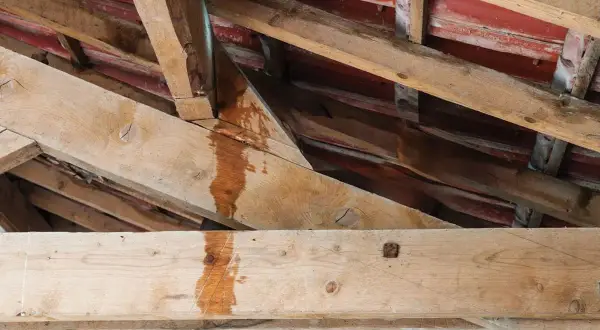 Vue rapprochée des poutres en bois d'un grenier, montrant des traces d'humidité et de décoloration, signe d'une fuite nécessitant une réparation toiture.