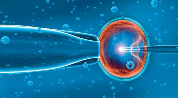 Inseminacja komórki jajowej metodą in vitro. Czy in vitro to grzech? Pytanie o etykę i moralność tej metody wspomaganego rozrodu.