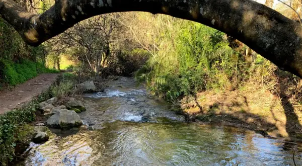 Sendero junto a un arroyo en la sierra de Grazalema, ideal para rutas de senderismo.