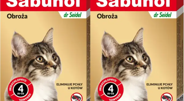Obroża na pchły dla kota od kiedy - bezpieczne stosowanie dla kociąt