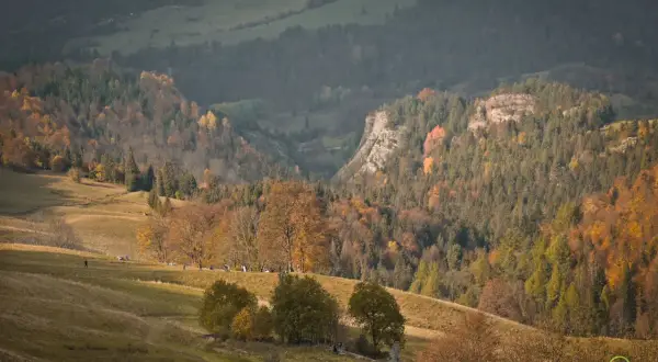 Jesienny szlak na wysoką, z barwnymi drzewami i ludźmi spacerującymi po zboczu.