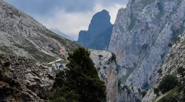 Majestuosas montañas y un camino serpenteante en la ruta del Cares, bajo un cielo nublado que presagia lluvia.