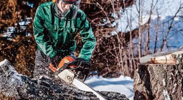 Mann in Schutzkleidung sägt mit Kettensäge in winterlicher Waldlandschaft.