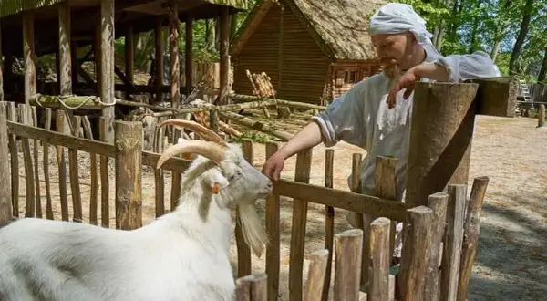 Odkryj tajemnice skansenu grodzisko w Sopocie - historia i atrakcje