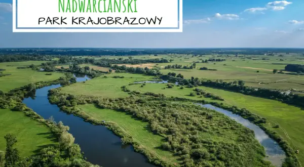 Malowniczy krajobraz nadwarciański park krajobrazowy z krętą rzeką, zielonymi łąkami i lasami w tle.