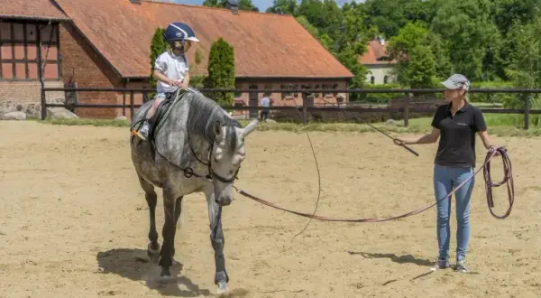 Stadnina koni w Markach - najlepsze miejsca na jazdę konną i opiekę