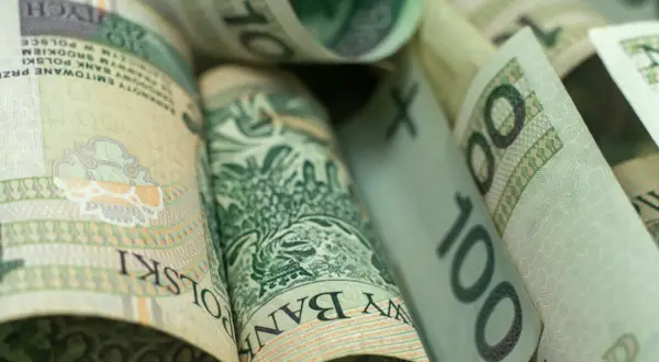 Zwijane banknoty 100 zł. Zastanawiasz się, ile wynosi najniższa krajowa?