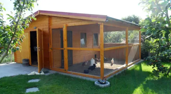 Holz-Gartenhaus mit integriertem Hühnerstall und Freigehege. Hühner picken im Sand, ein Hahn sitzt im Wasserbad.