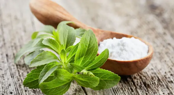 Foglie verdi di stevia accanto a un cucchiaio di polvere bianca. Alcuni si chiedono se la stevia fa male.